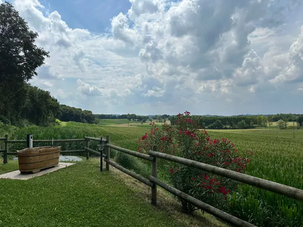 La campagna intorno all’agriturismo, con la staccionata e un oleandro in fiore
