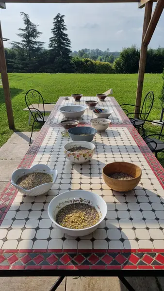 Ciotole di semi e cereali sul lungo tavolo all’aperto