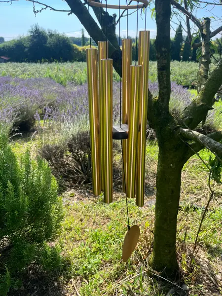 Campane a vento appese a un albero, tra la lavanda